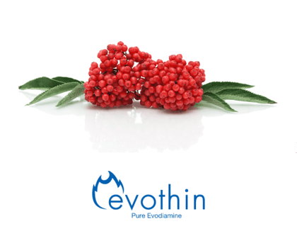 EVOTHIN